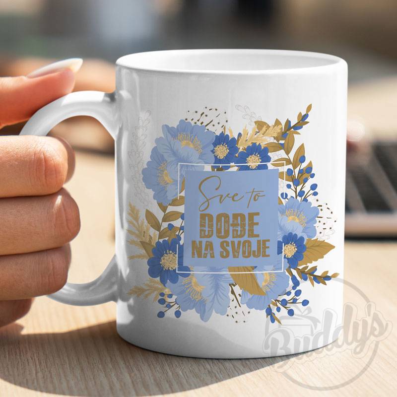 SVE TO DOĐE - Buddy's